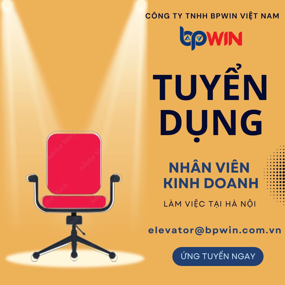 lĩnh vực hoạt động